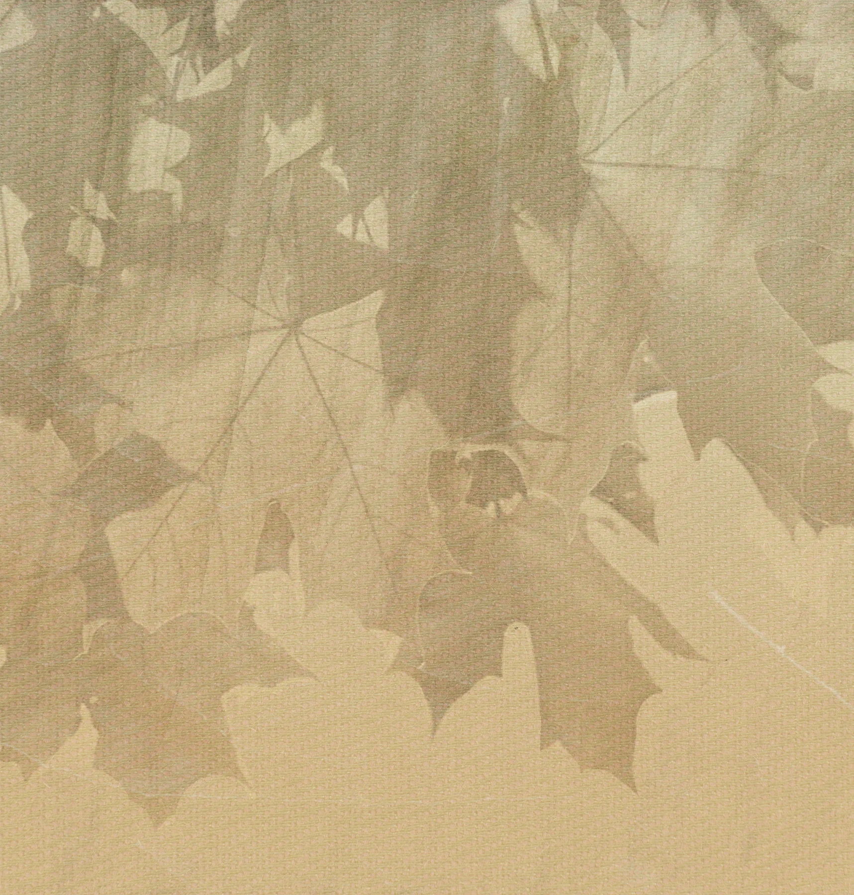 Carta da parati Creative Leaves