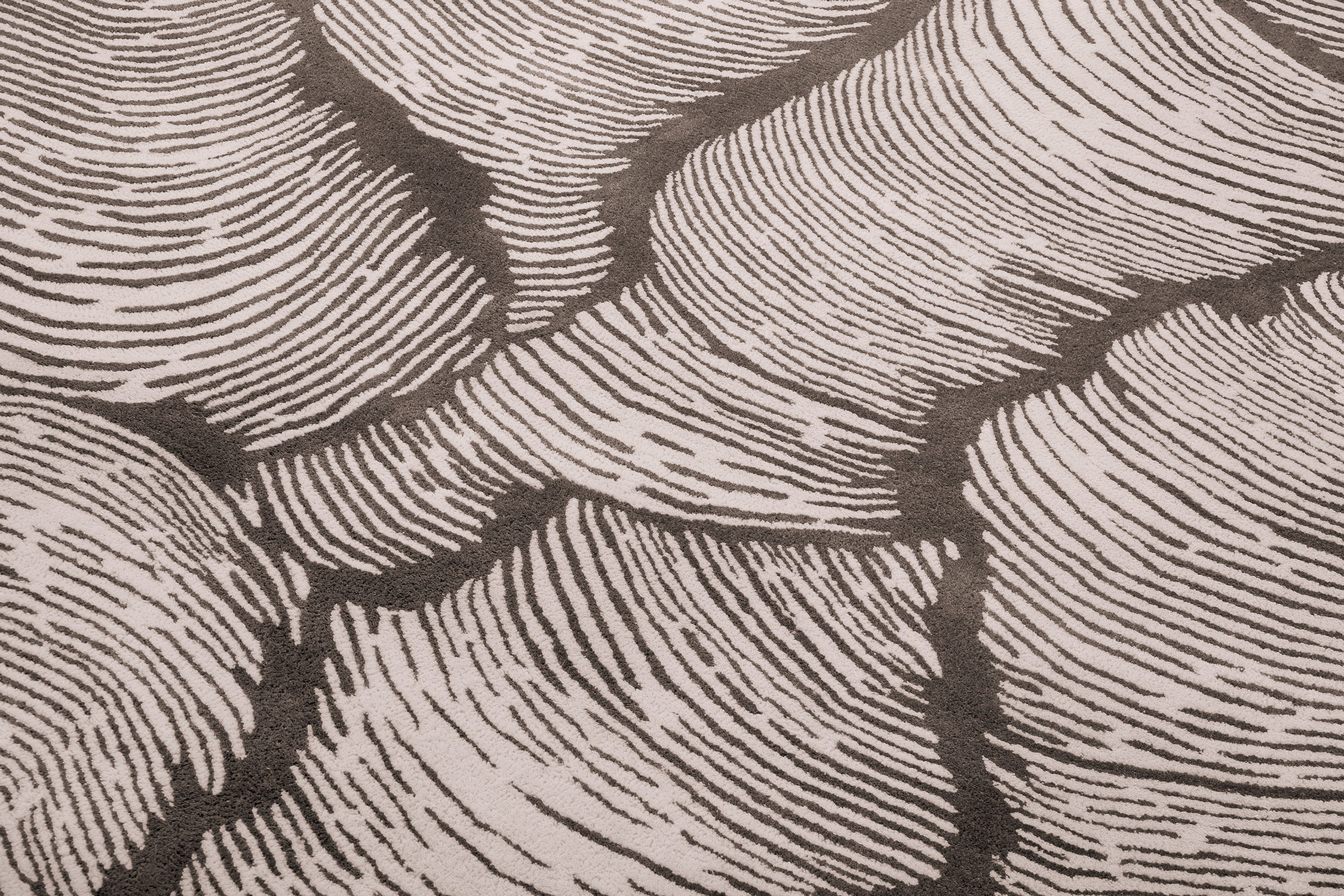 Tappeto Tortora Designer | Misura: 230 x 300 cm