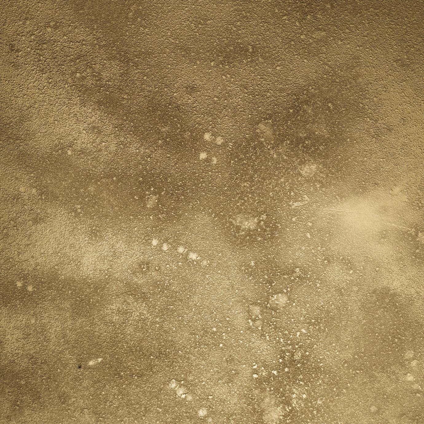 Madia Maya in Ottone