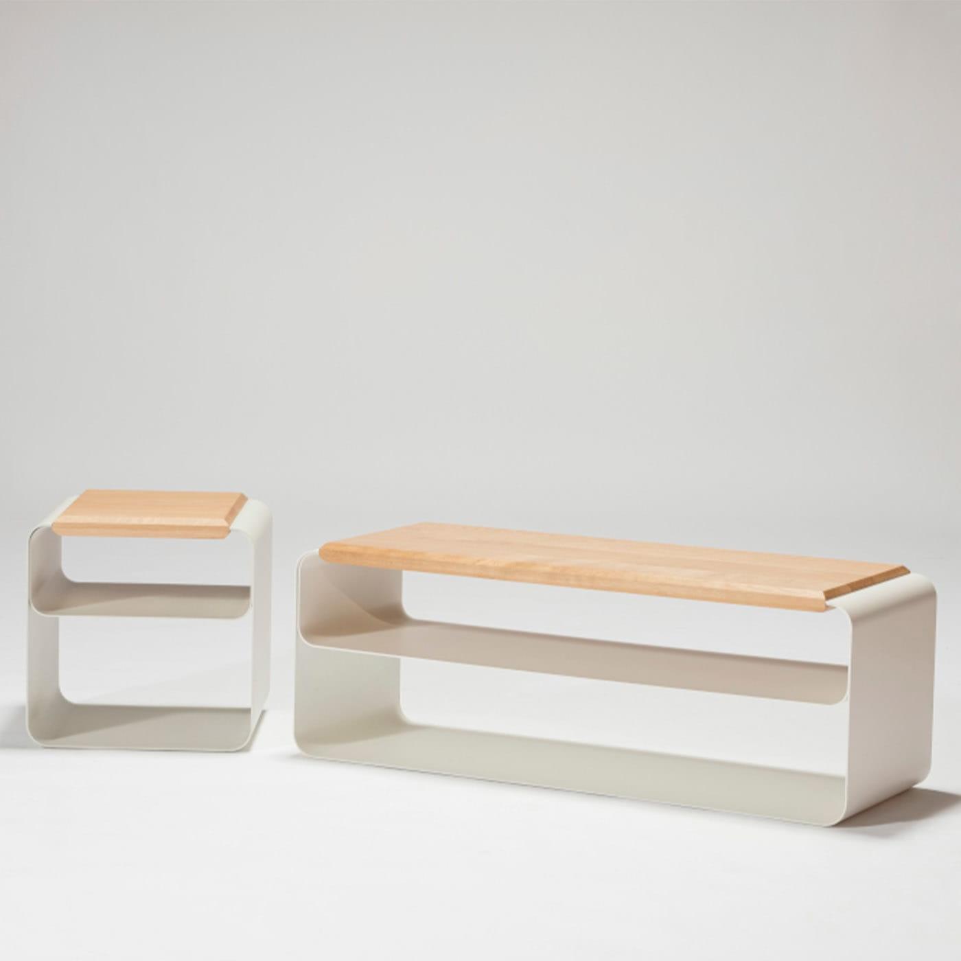Panca Contemporanea in Legno e Metallo (Var. 2)