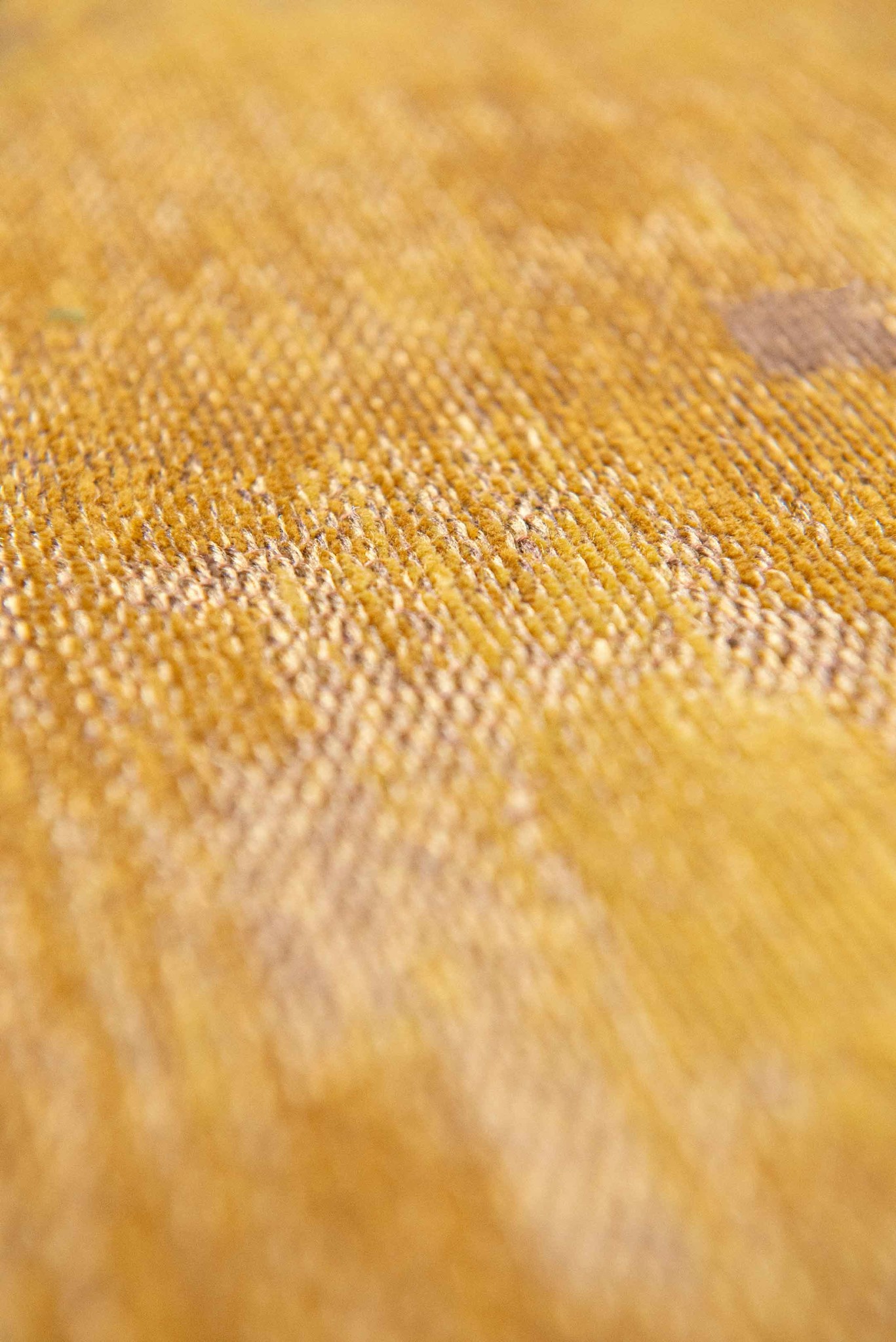Tappeto Venetian Dust Rialto Oro 9235