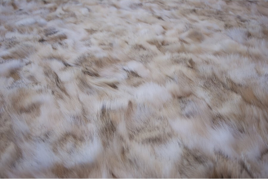 Tappeto Wolf 840 | Misura: 270 x 360 cm