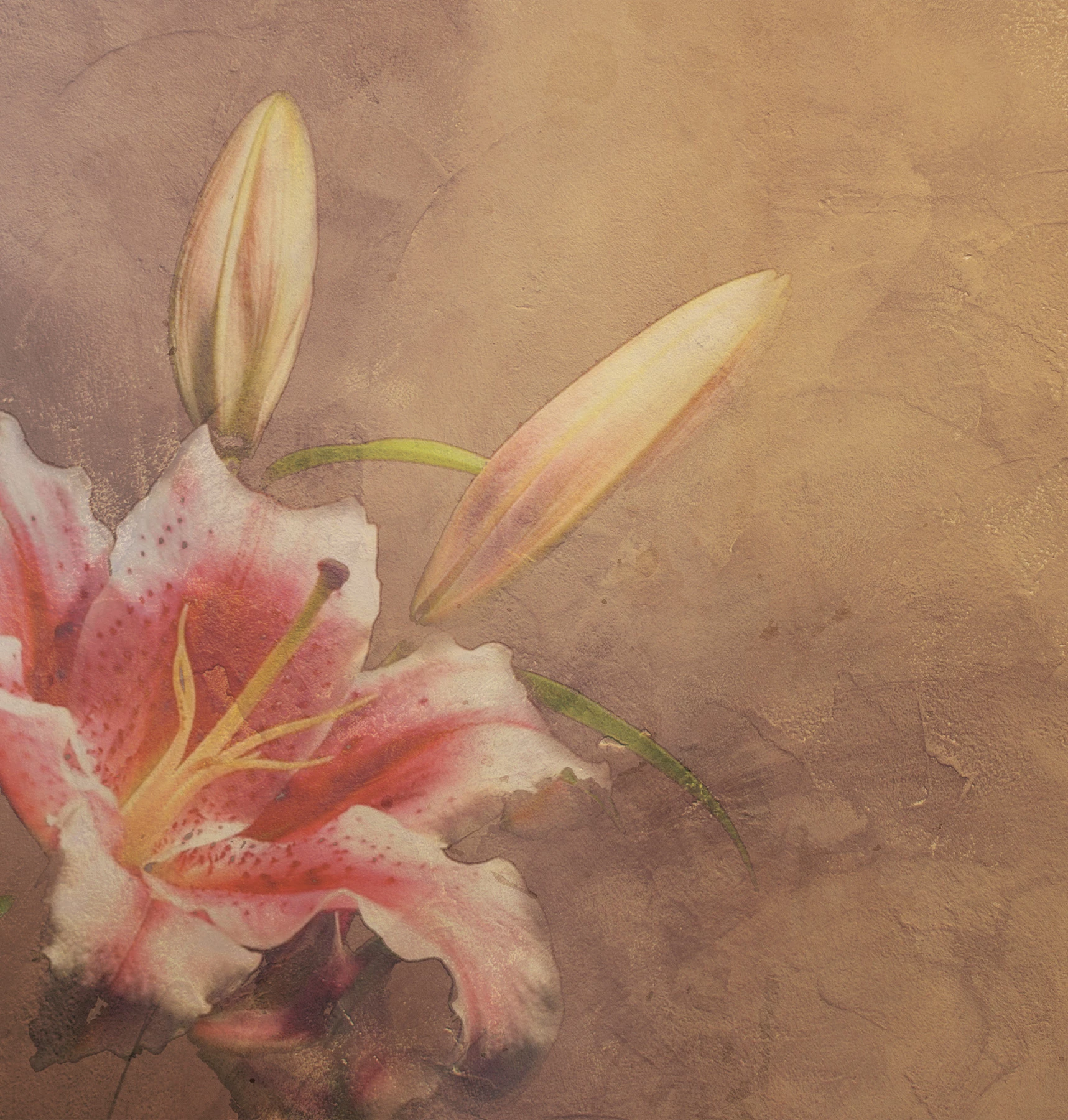 Carta da parati Amaryllis