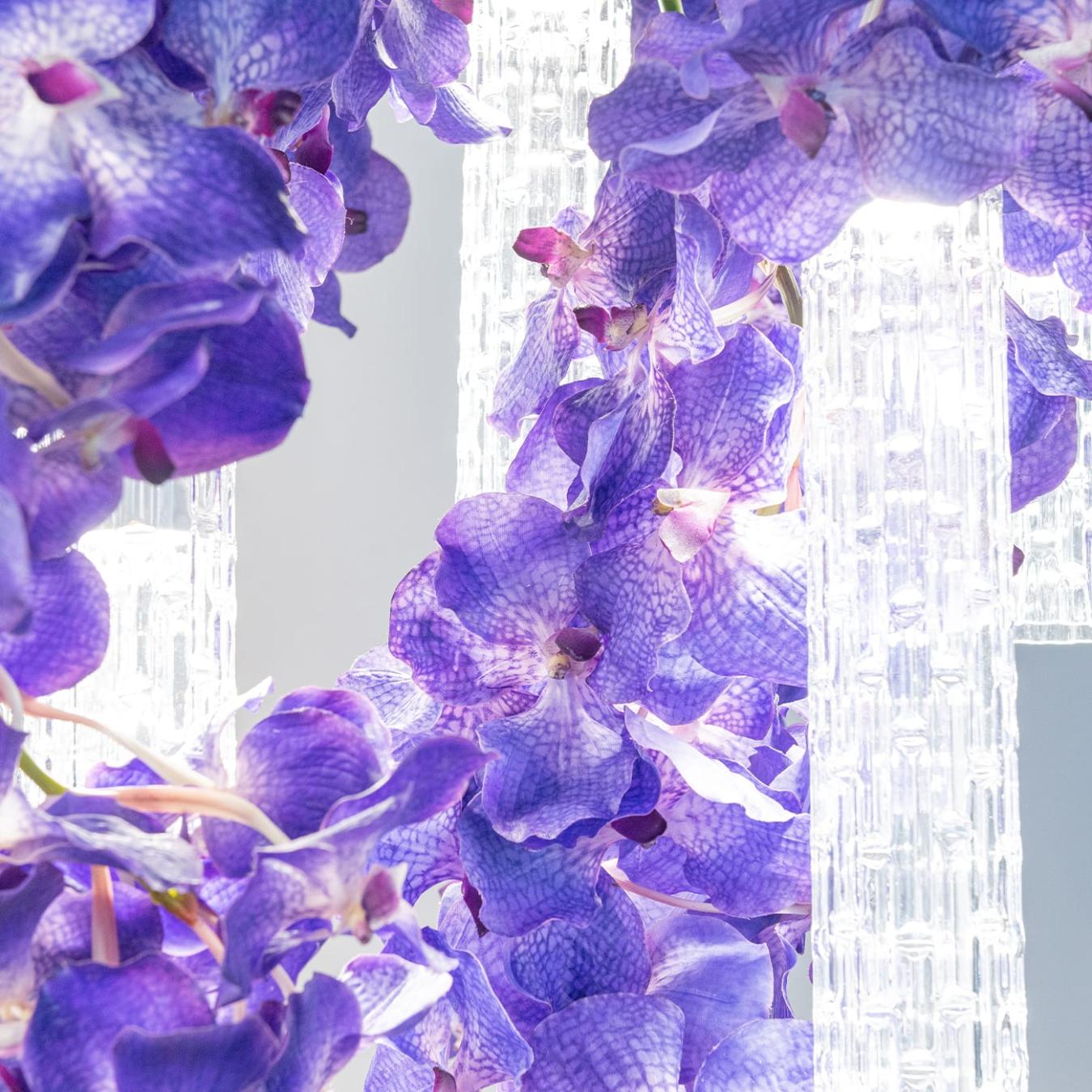 Lampadario Grande Vanda