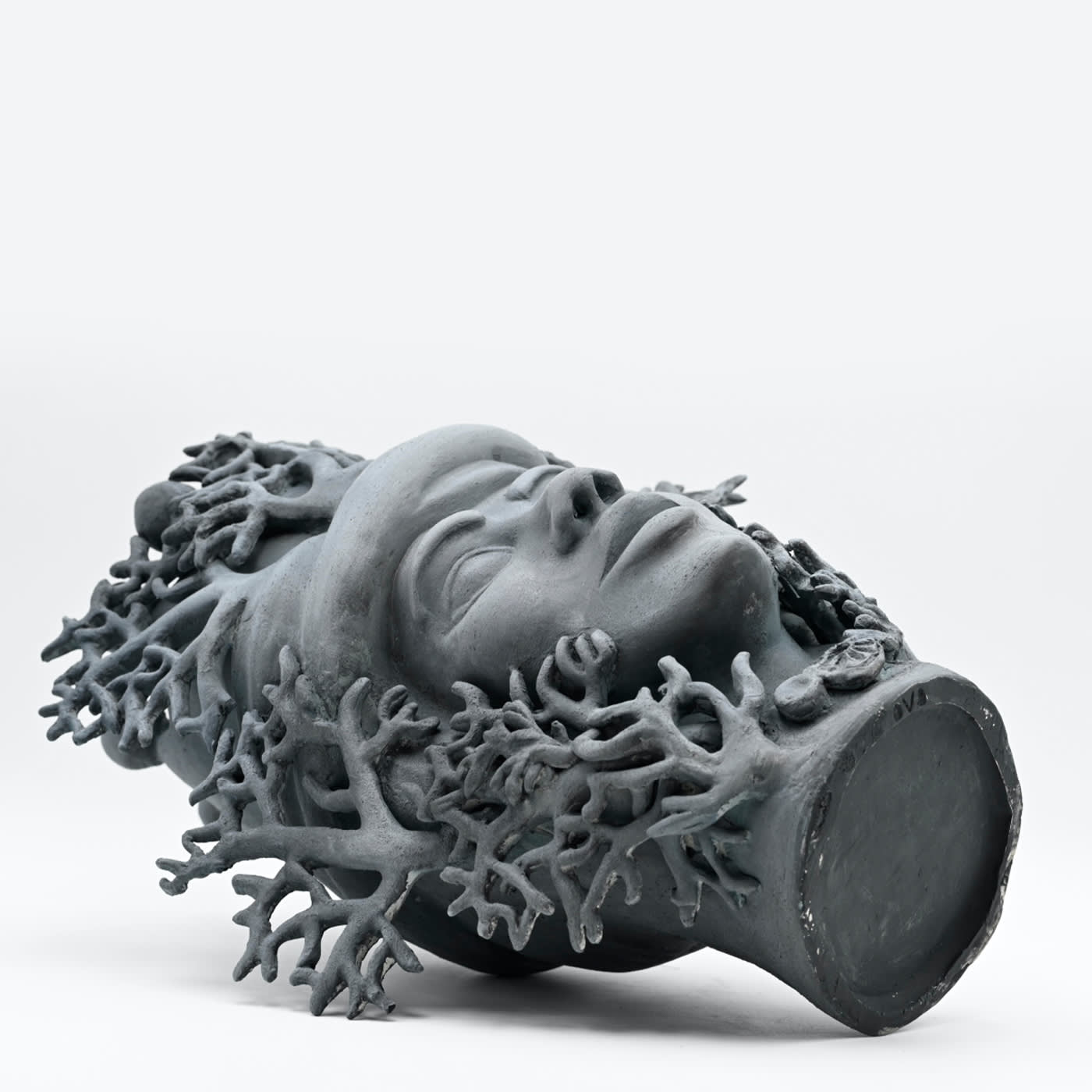 Testa di Moro Corallo Scultura