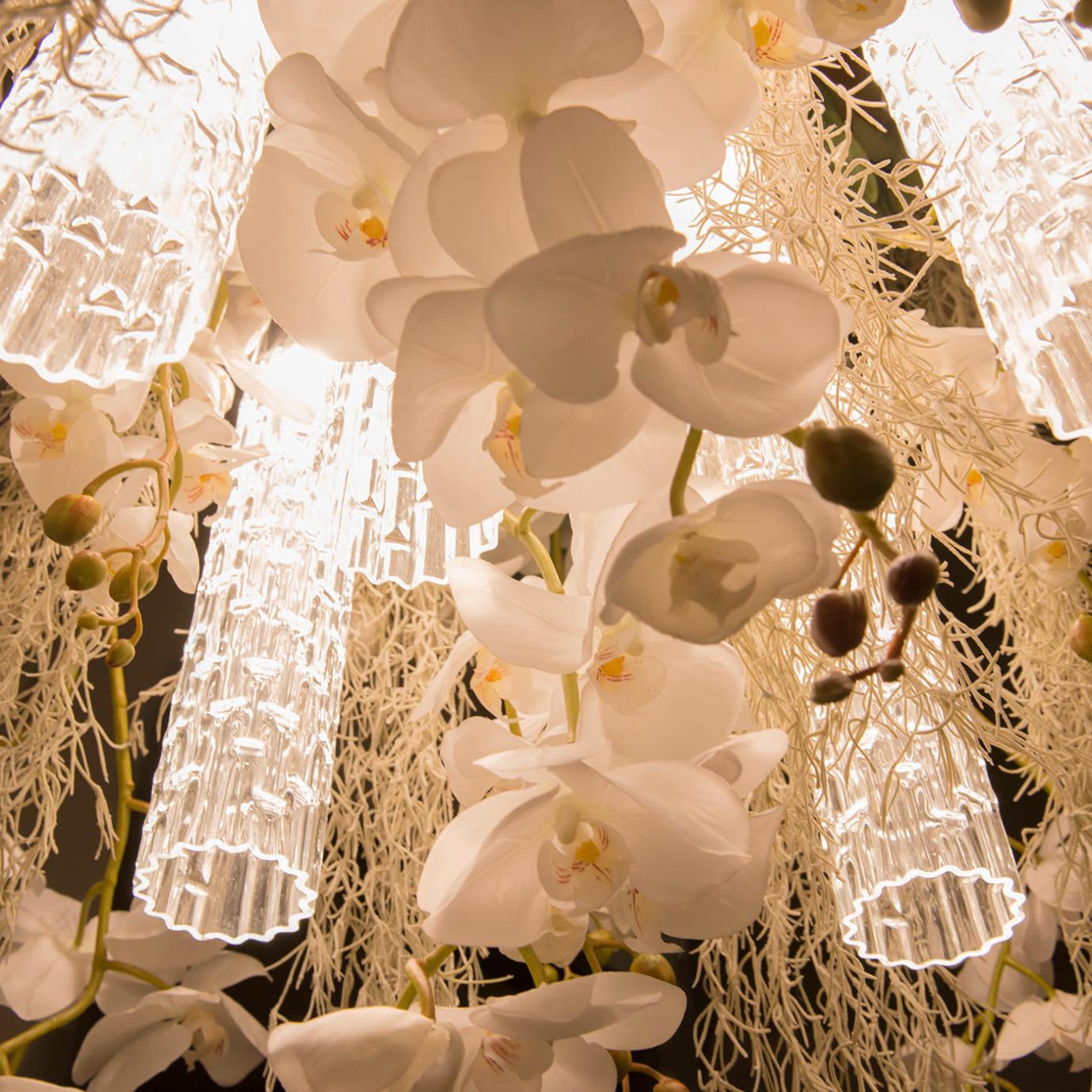 Lampadario Phalaenopsis