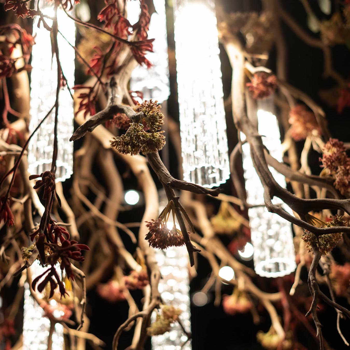 Lampadario Manzanita