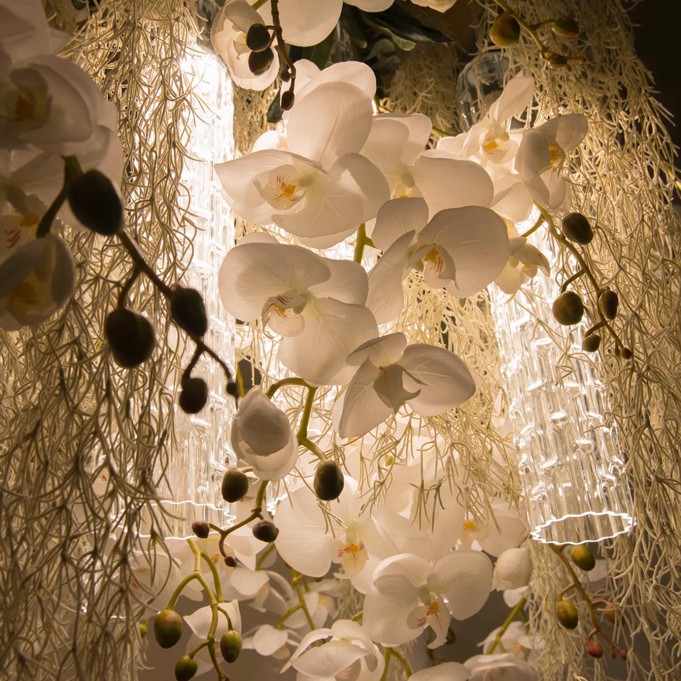 Lampadario Phalaenopsis