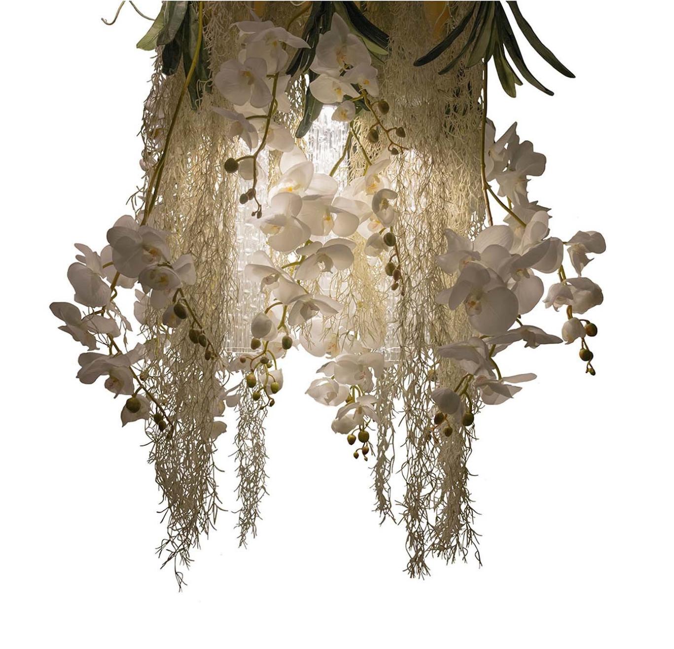 Lampadario Phalaenopsis