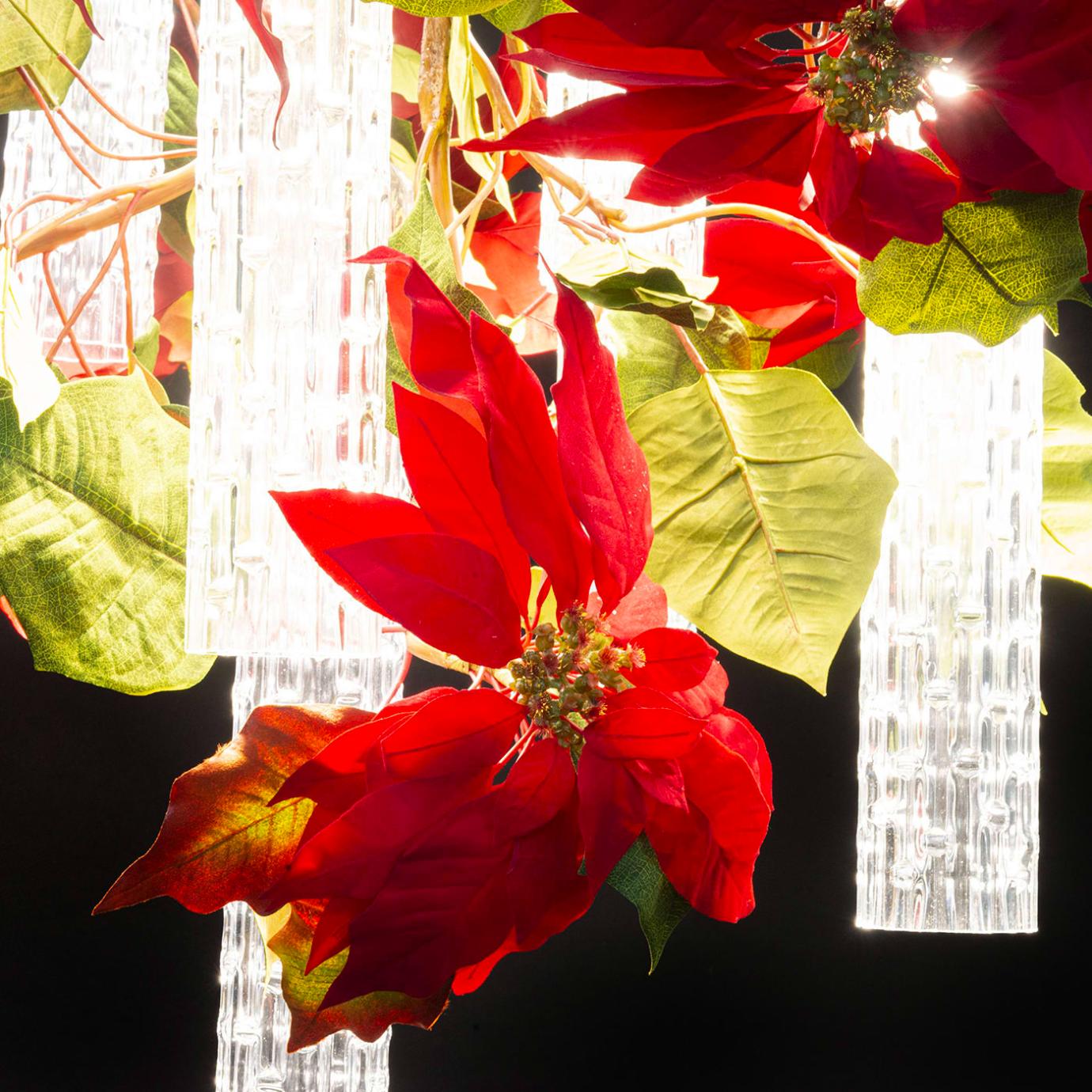 Lampadario Poinsettia