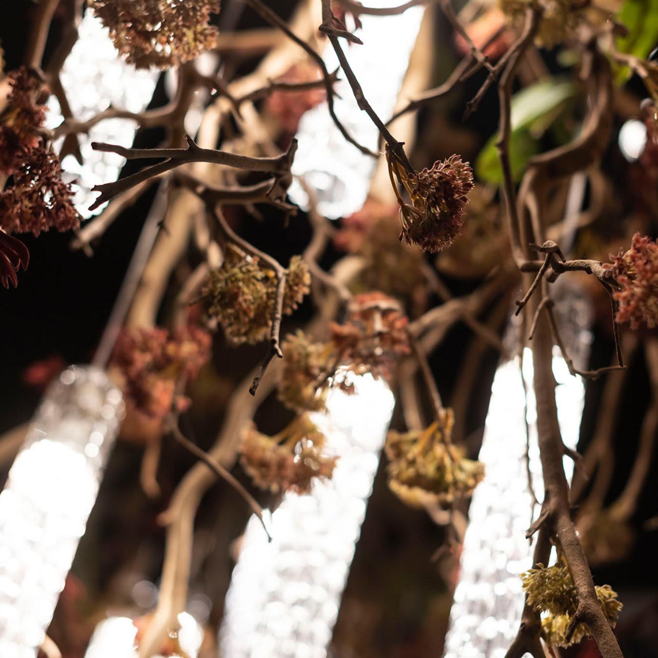 Lampadario Manzanita