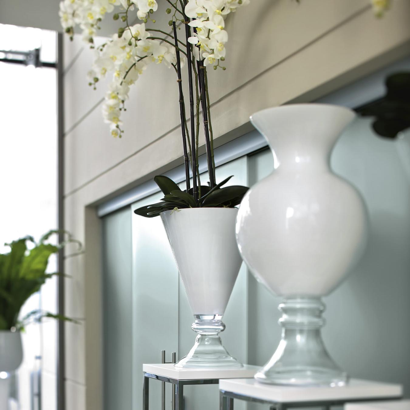 Vaso Ann