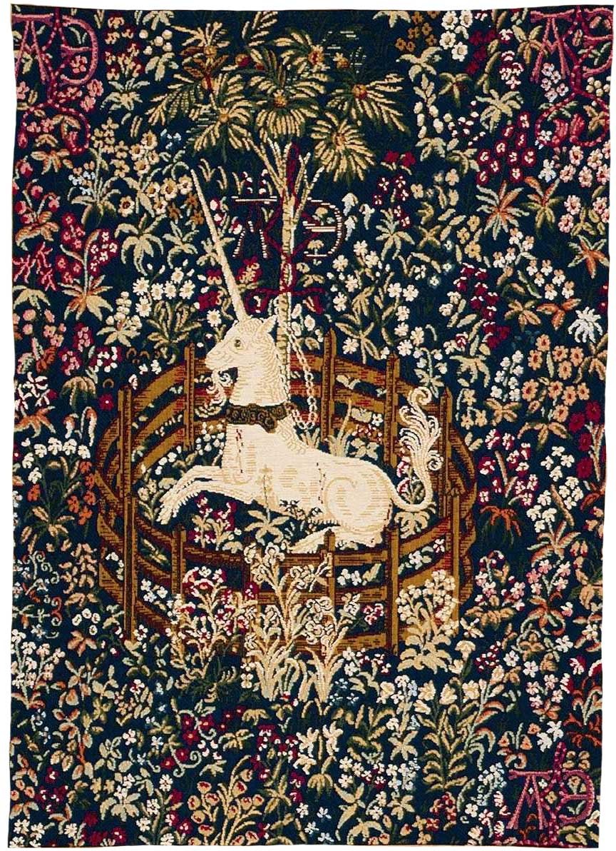 Arazzo Unicorno Blu Prigioniero senza Bordo