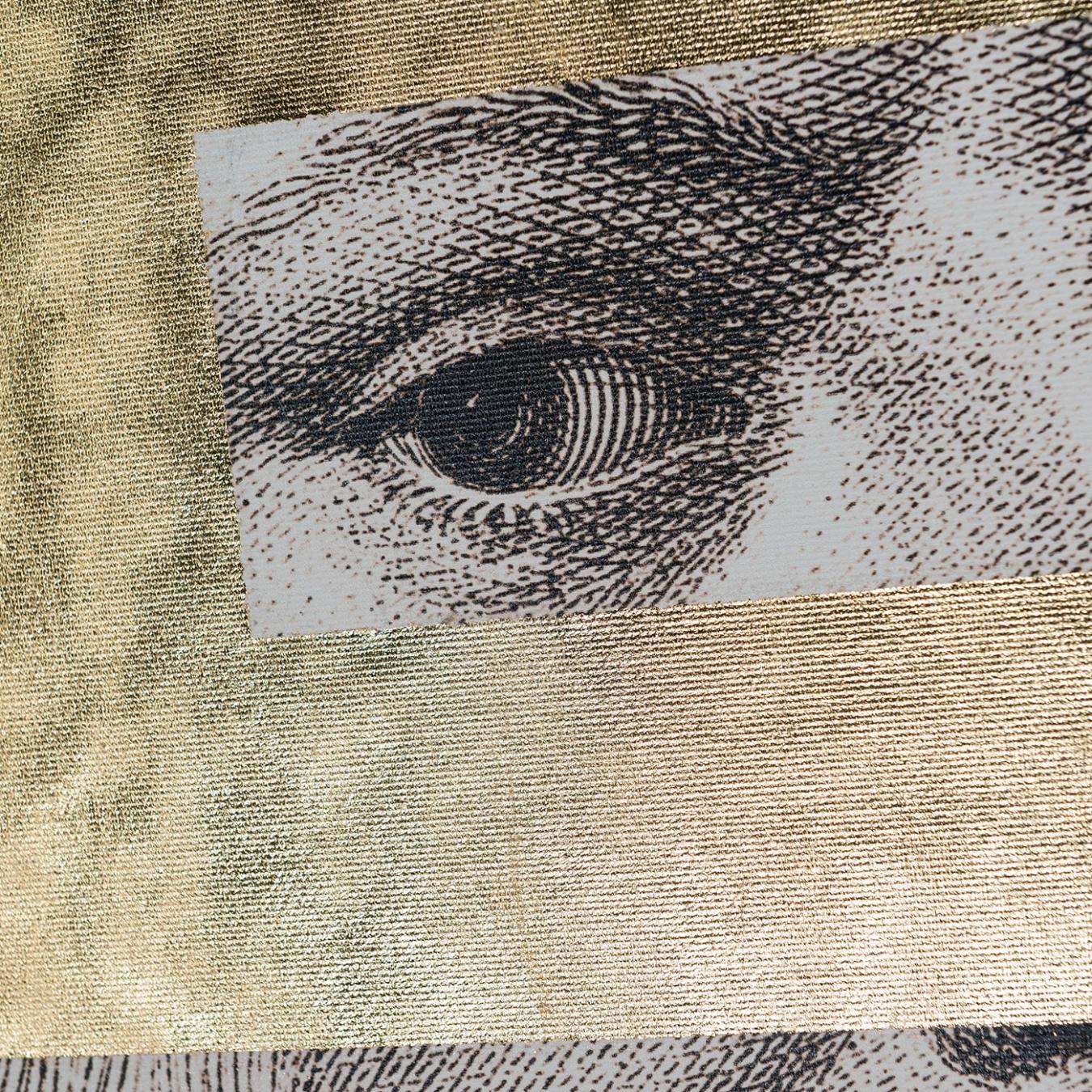Pannello Decorativo Leonardo Eye