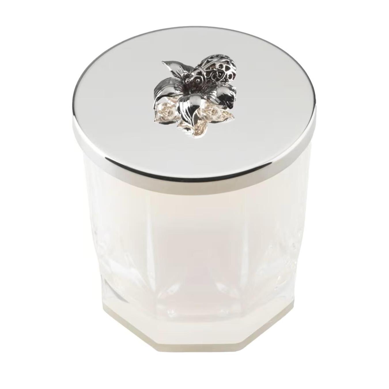 Candela Coccinella Di Primavera In Vaso
