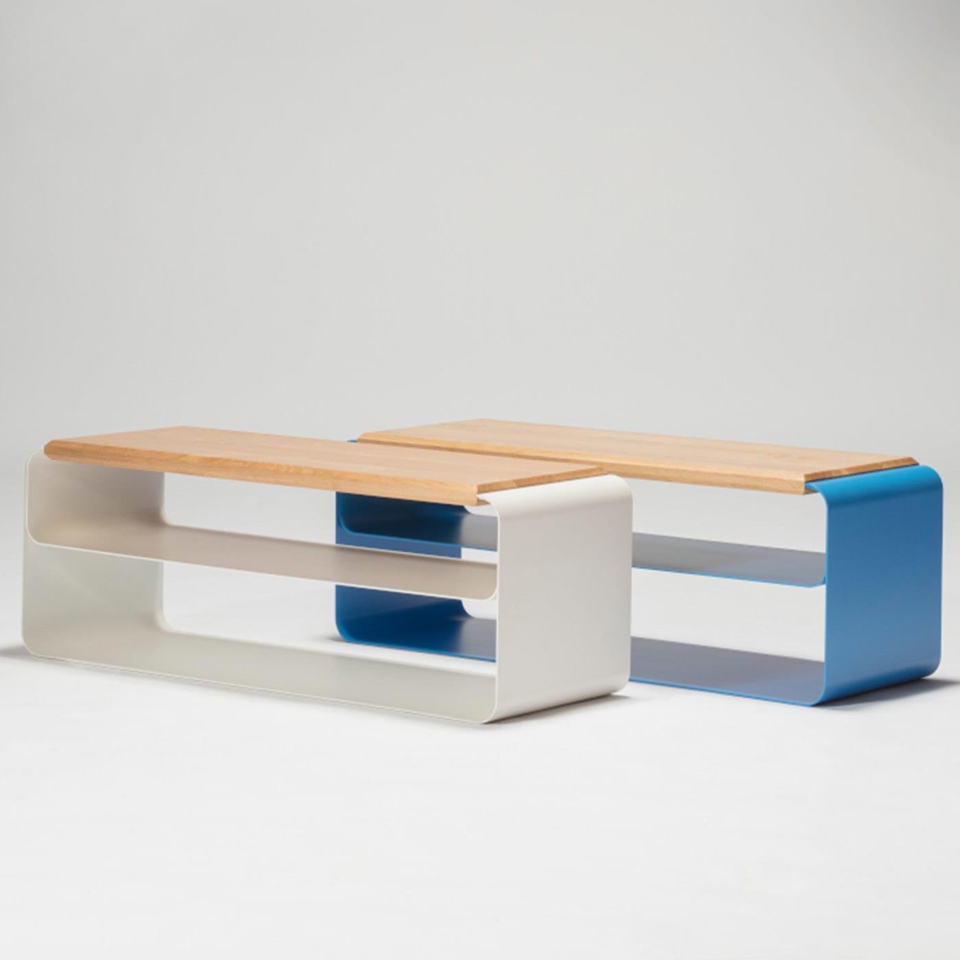 Panca Contemporanea in Legno e Metallo (Var. 2) - 2