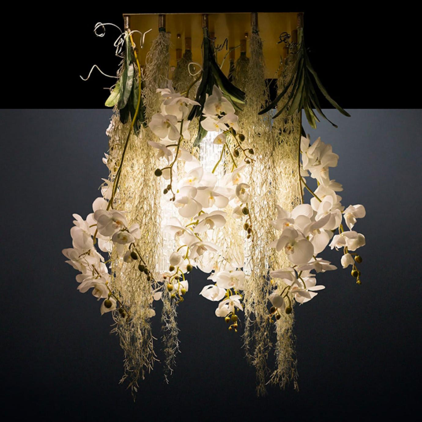 Lampadario Phalaenopsis