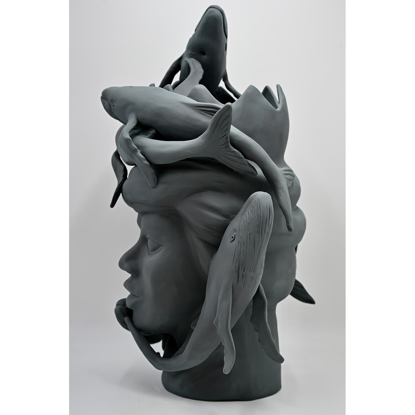 Testa di Moro Grigia Scultura