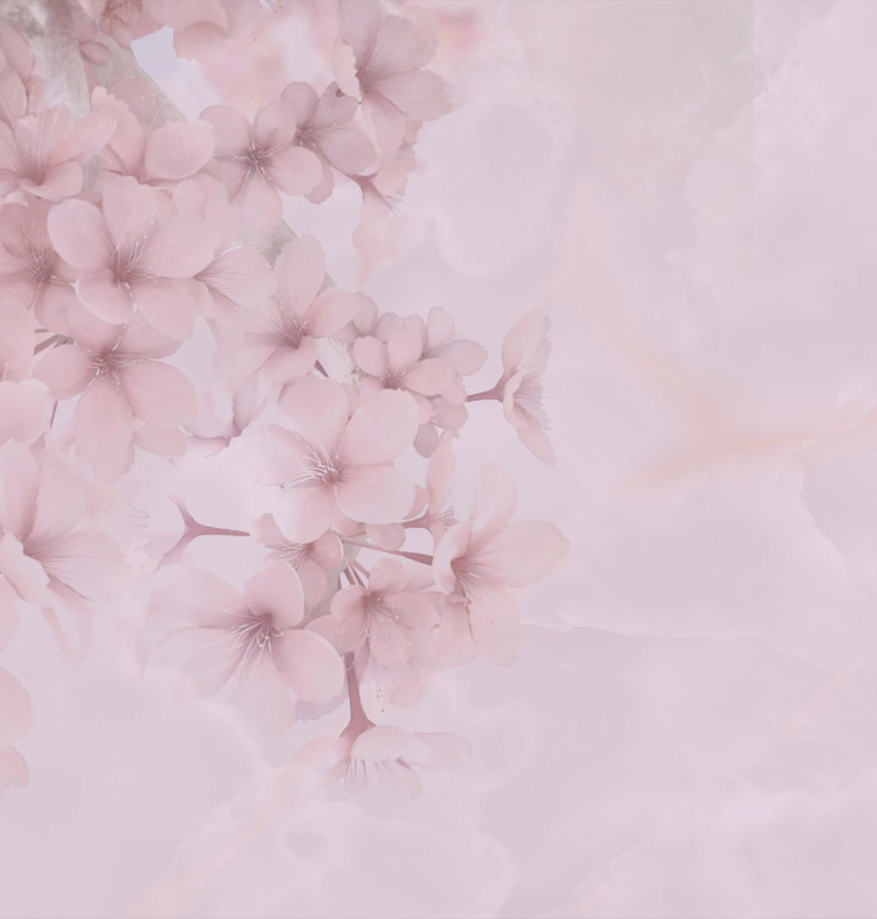 Carta da parati Bloom
