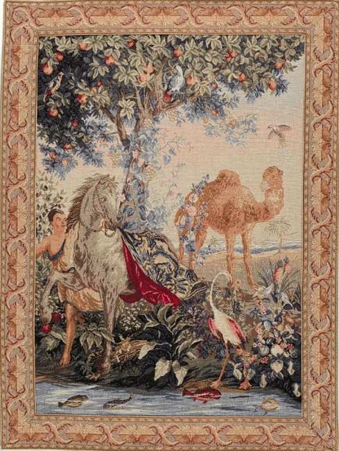 Arazzo Cavallo Drappeggiato