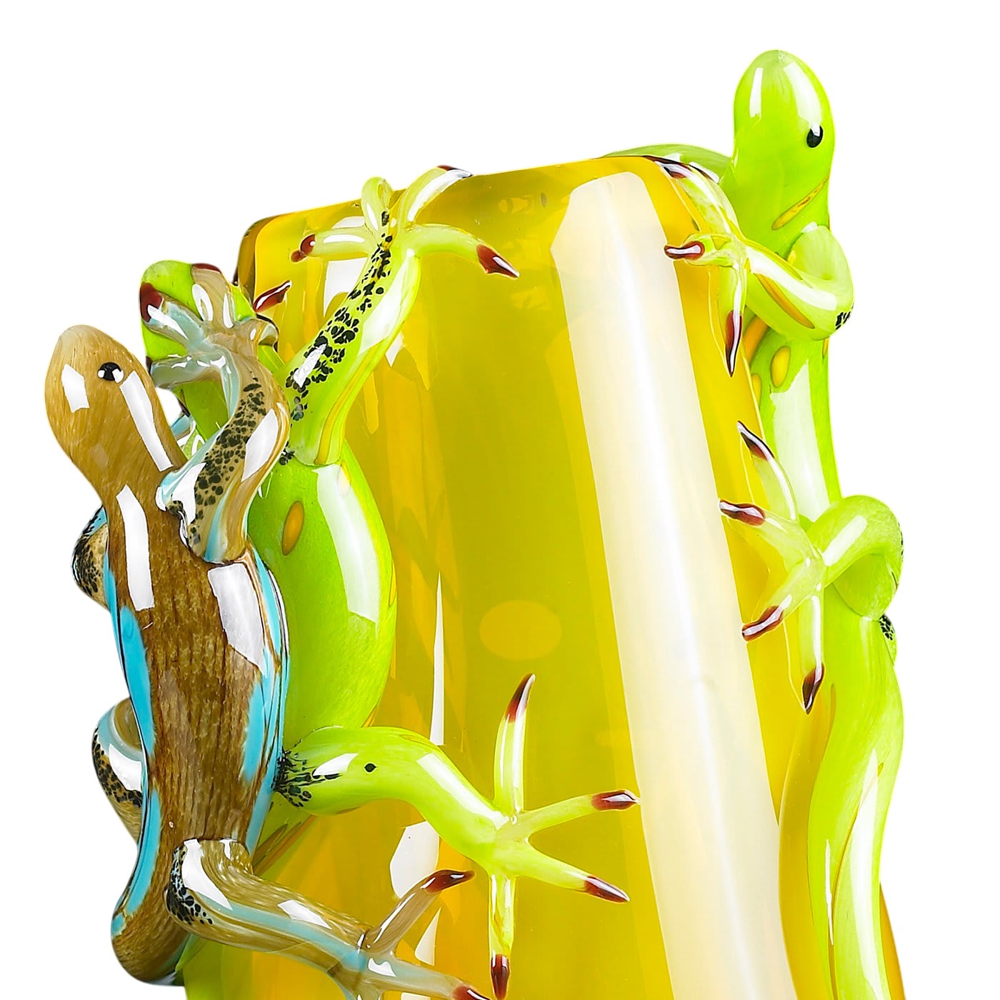 Vaso Geckos