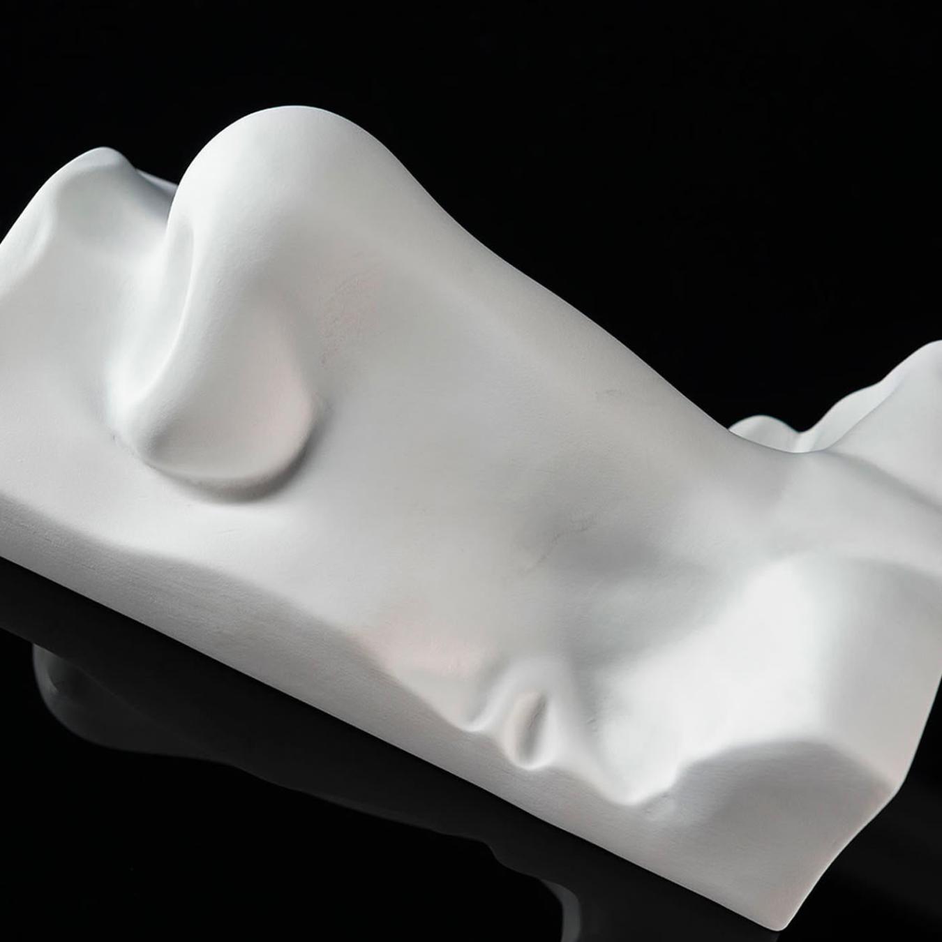 Scultura Naso di David