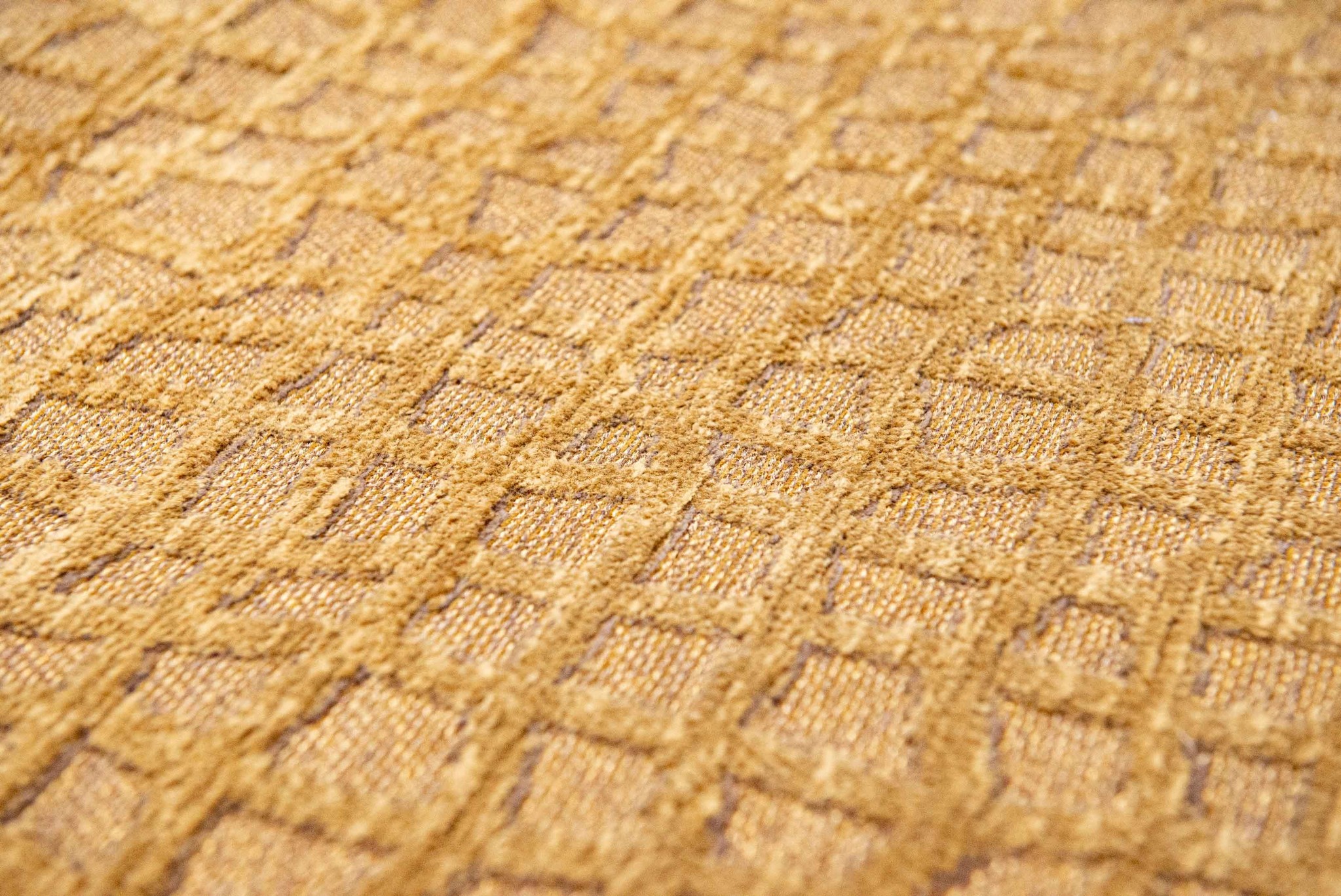 Tappeto Trammel Roman Oro 9248 | Misura: 170 x 240 cm
