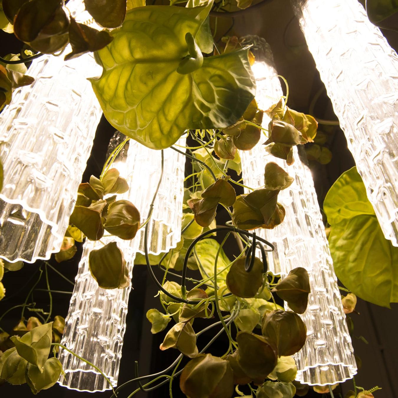 Lampadario Physalis Anthurium