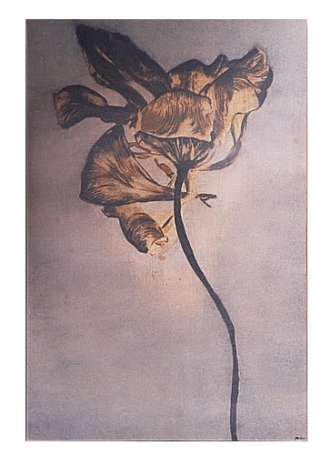 Yellow Flower Quadro