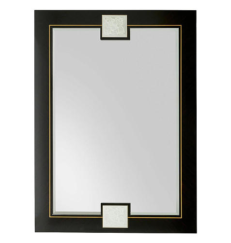 Specchio da Parete Ebony con Cornice in Ottone