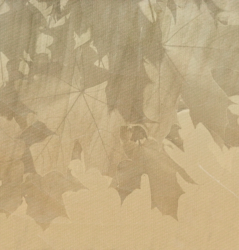 Carta da parati Creative Leaves