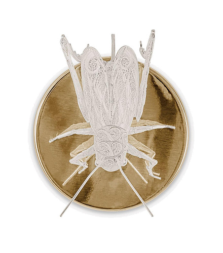 Lampada da Parete Filigree Cricket