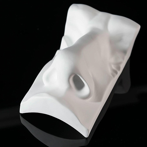 Scultura Naso di David