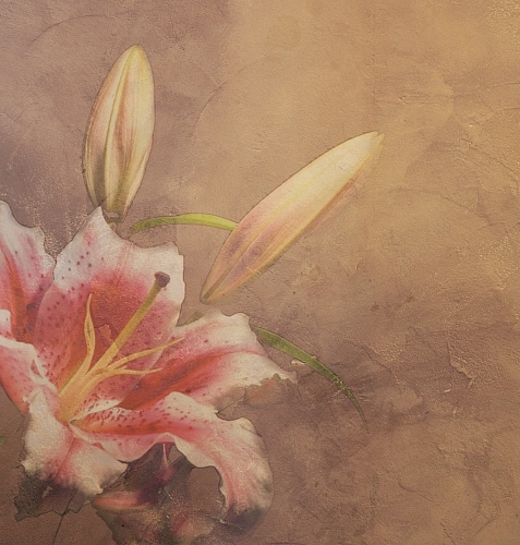 Carta da parati Amaryllis