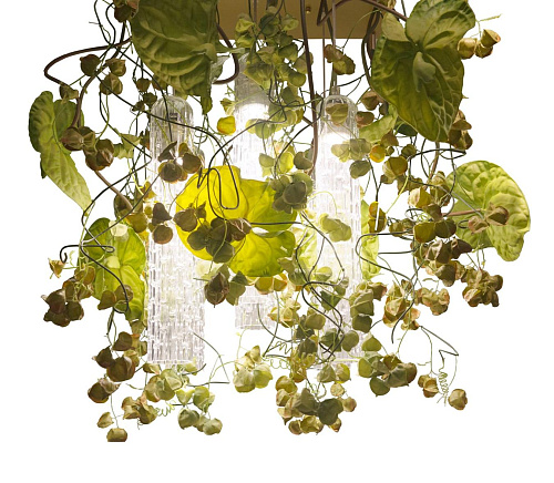 Lampadario Physalis Anthurium