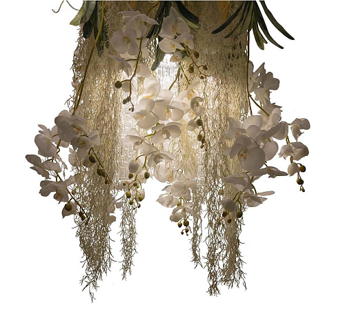 Lampadario Phalaenopsis