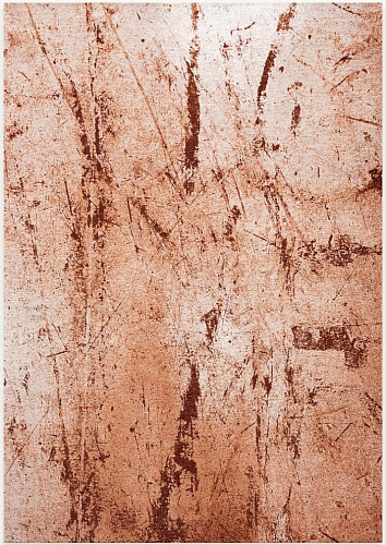 Tappeto Tandoori 9774