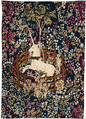 Arazzo Unicorno Blu Prigioniero senza Bordo