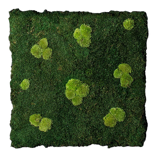 Composizione da Parete Flatmoss e Polemoss