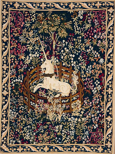 Arazzo Unicorno Blu Prigioniero con Bordo