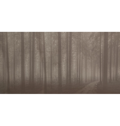 Carta da parati Night Forest