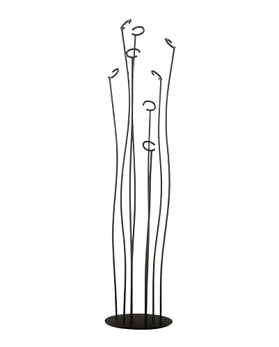 Appendiabiti Alga