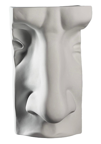 Scultura Naso di David