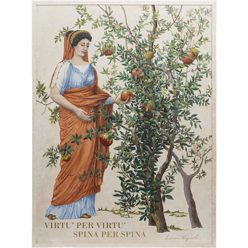 Decorazioni da parete